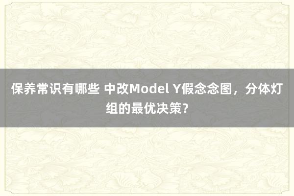 保养常识有哪些 中改Model Y假念念图，分体灯组的最优决策？