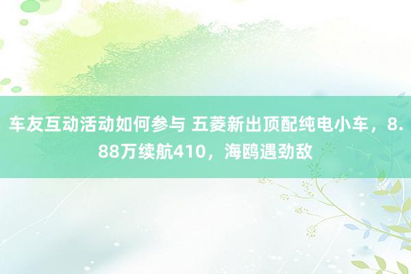 车友互动活动如何参与 五菱新出顶配纯电小车，8.88万续航410，海鸥遇劲敌