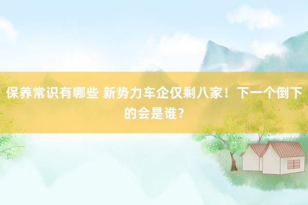 保养常识有哪些 新势力车企仅剩八家！下一个倒下的会是谁？