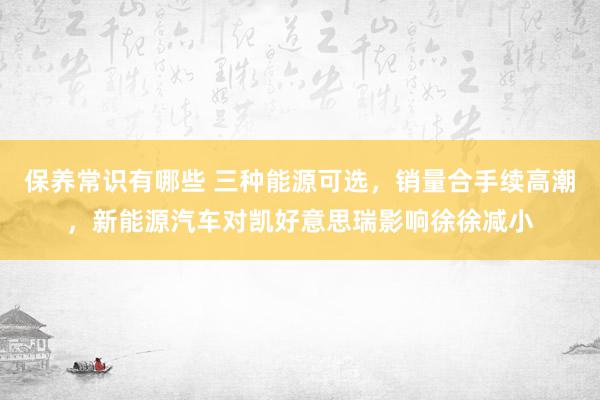 保养常识有哪些 三种能源可选，销量合手续高潮，新能源汽车对凯好意思瑞影响徐徐减小