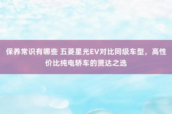 保养常识有哪些 五菱星光EV对比同级车型，高性价比纯电轿车的贤达之选