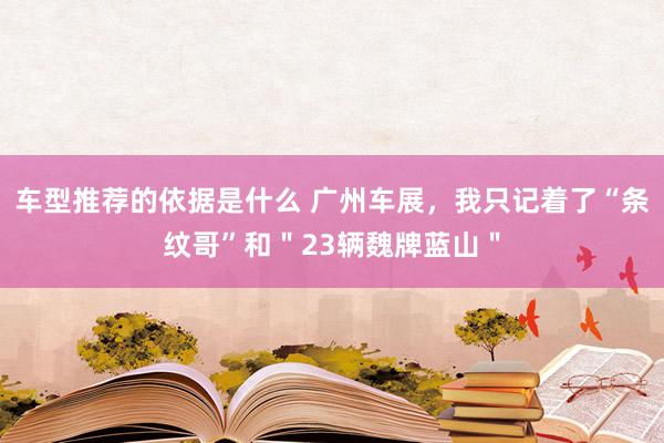 车型推荐的依据是什么 广州车展，我只记着了“条纹哥”和＂23辆魏牌蓝山＂