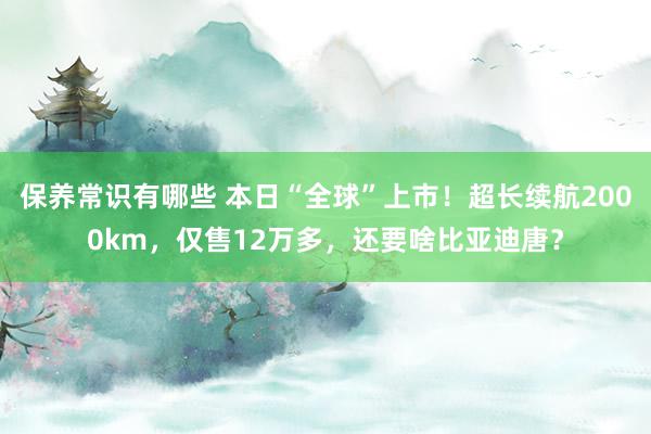 保养常识有哪些 本日“全球”上市！超长续航2000km，仅售12万多，还要啥比亚迪唐？