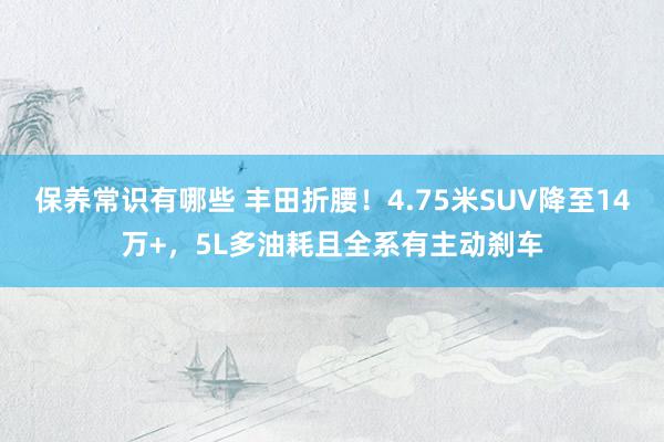 保养常识有哪些 丰田折腰！4.75米SUV降至14万+，5L多油耗且全系有主动刹车