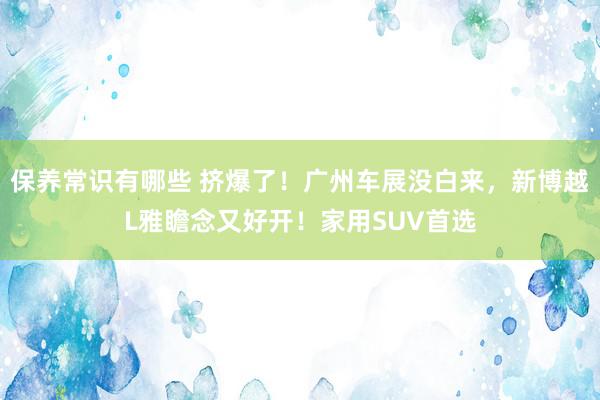 保养常识有哪些 挤爆了！广州车展没白来，新博越L雅瞻念又好开！家用SUV首选