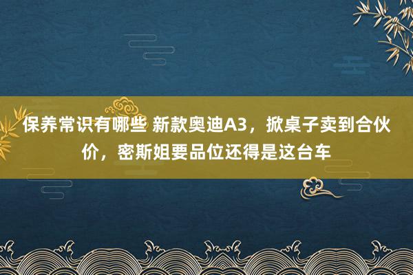 保养常识有哪些 新款奥迪A3，掀桌子卖到合伙价，密斯姐要品位还得是这台车