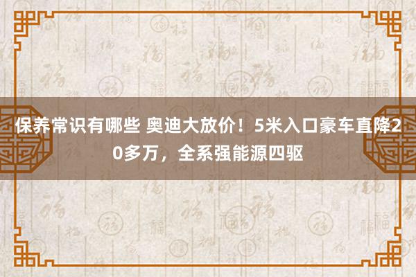 保养常识有哪些 奥迪大放价！5米入口豪车直降20多万，全系强能源四驱