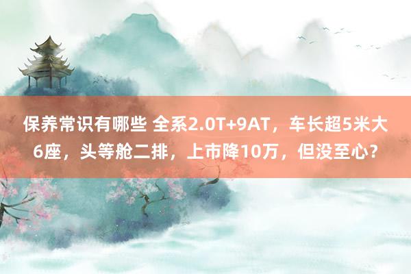 保养常识有哪些 全系2.0T+9AT，车长超5米大6座，头等舱二排，上市降10万，但没至心？