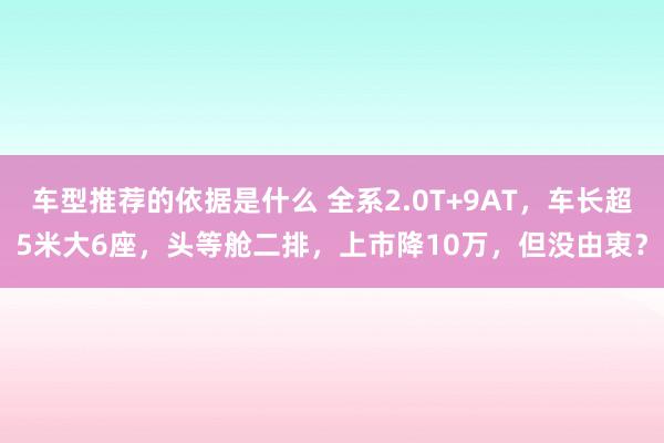 车型推荐的依据是什么 全系2.0T+9AT，车长超5米大6座，头等舱二排，上市降10万，但没由衷？