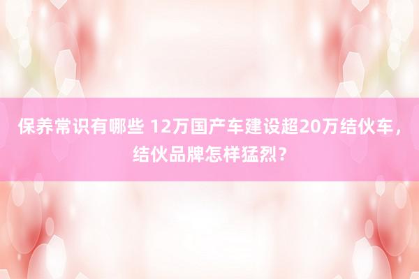 保养常识有哪些 12万国产车建设超20万结伙车，结伙品牌怎样猛烈？