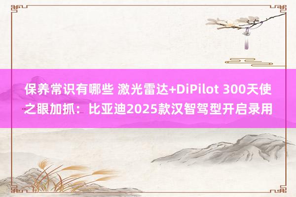 保养常识有哪些 激光雷达+DiPilot 300天使之眼加抓：比亚迪2025款汉智驾型开启录用