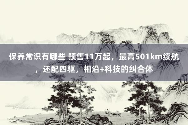 保养常识有哪些 预售11万起，最高501km续航，还配四驱，相沿+科技的纠合体