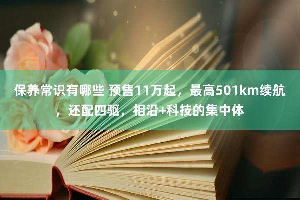 保养常识有哪些 预售11万起，最高501km续航，还配四驱，相沿+科技的集中体