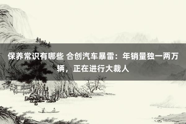 保养常识有哪些 合创汽车暴雷：年销量独一两万辆，正在进行大裁人