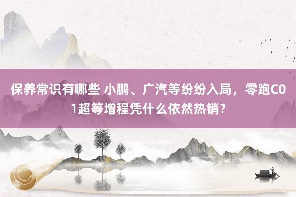 保养常识有哪些 小鹏、广汽等纷纷入局，零跑C01超等增程凭什么依然热销？