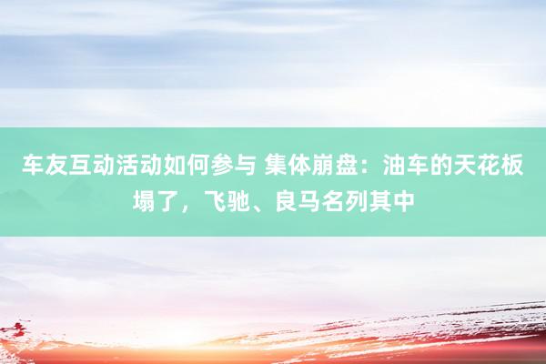 车友互动活动如何参与 集体崩盘：油车的天花板塌了，飞驰、良马名列其中