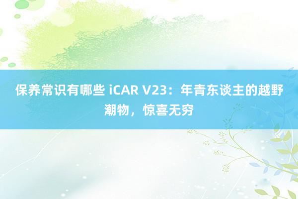 保养常识有哪些 iCAR V23：年青东谈主的越野潮物，惊喜无穷