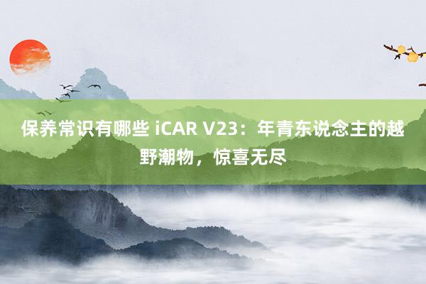 保养常识有哪些 iCAR V23：年青东说念主的越野潮物，惊喜无尽