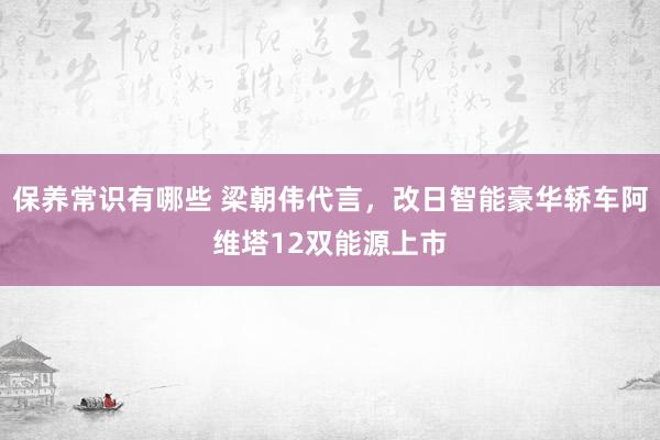 保养常识有哪些 梁朝伟代言，改日智能豪华轿车阿维塔12双能源上市