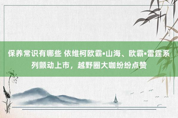 保养常识有哪些 依维柯欧霸•山海、欧霸•雷霆系列颤动上市，越野圈大咖纷纷点赞