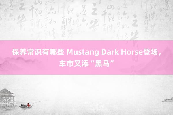 保养常识有哪些 Mustang Dark Horse登场，车市又添“黑马”