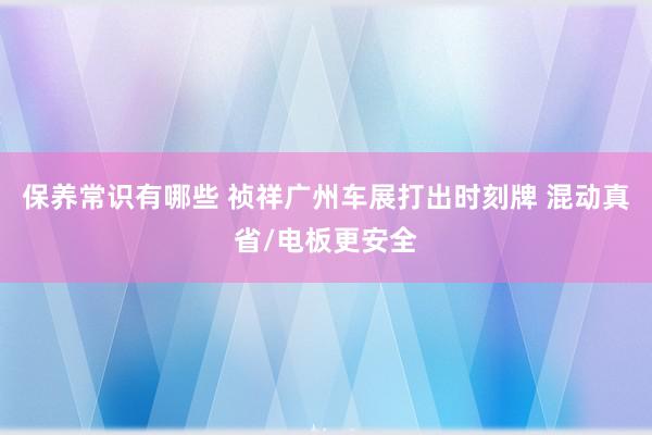 保养常识有哪些 祯祥广州车展打出时刻牌 混动真省/电板更安全