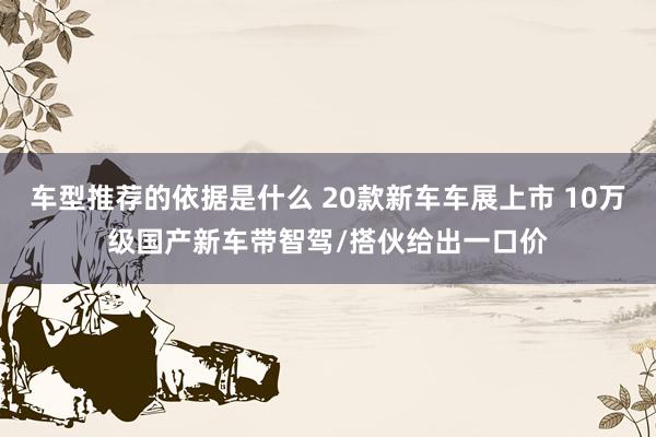 车型推荐的依据是什么 20款新车车展上市 10万级国产新车带智驾/搭伙给出一口价