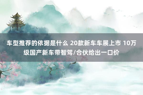 车型推荐的依据是什么 20款新车车展上市 10万级国产新车带智驾/合伙给出一口价