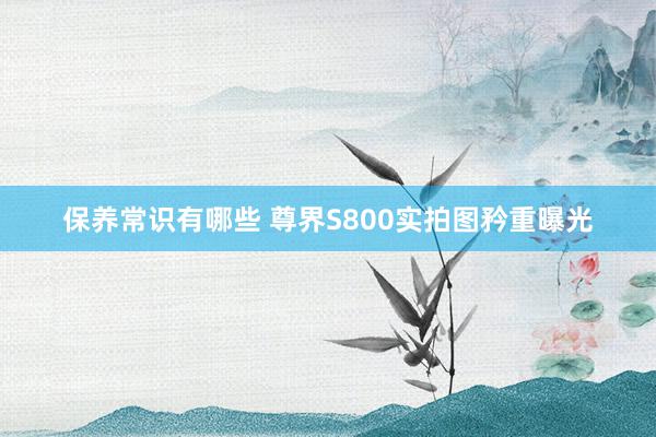 保养常识有哪些 尊界S800实拍图矜重曝光