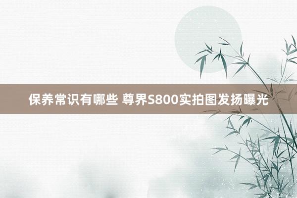 保养常识有哪些 尊界S800实拍图发扬曝光