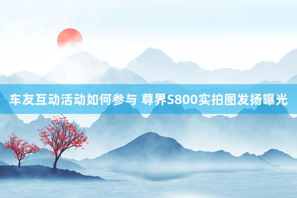 车友互动活动如何参与 尊界S800实拍图发扬曝光