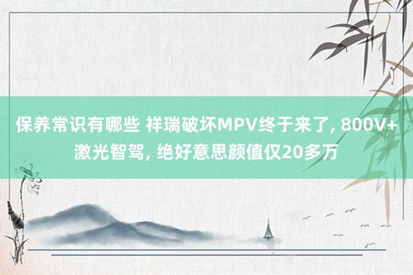 保养常识有哪些 祥瑞破坏MPV终于来了, 800V+激光智驾, 绝好意思颜值仅20多万