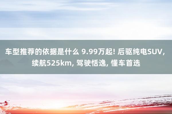 车型推荐的依据是什么 9.99万起! 后驱纯电SUV, 续航525km, 驾驶恬逸, 懂车首选