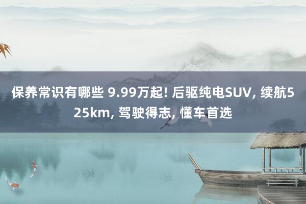 保养常识有哪些 9.99万起! 后驱纯电SUV, 续航525km, 驾驶得志, 懂车首选