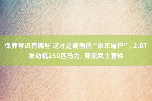 保养常识有哪些 这才是确凿的“豪车屠户”, 2.0T发动机250匹马力, 穿黑武士套件