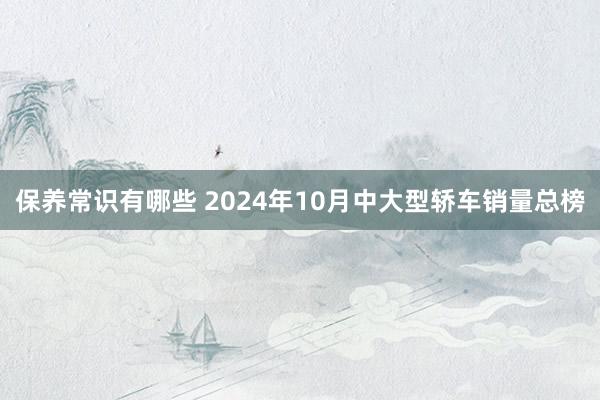 保养常识有哪些 2024年10月中大型轿车销量总榜