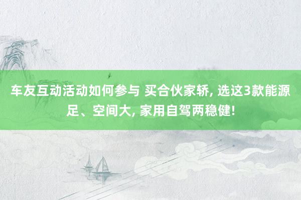 车友互动活动如何参与 买合伙家轿, 选这3款能源足、空间大, 家用自驾两稳健!