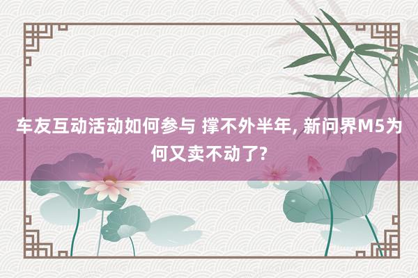 车友互动活动如何参与 撑不外半年, 新问界M5为何又卖不动了?