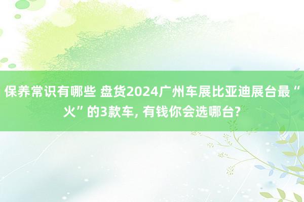 保养常识有哪些 盘货2024广州车展比亚迪展台最“火”的3款车, 有钱你会选哪台?