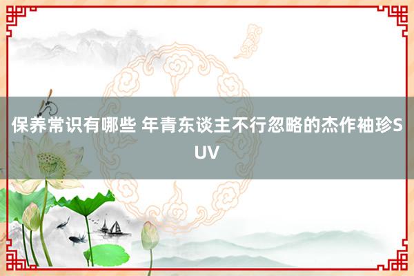 保养常识有哪些 年青东谈主不行忽略的杰作袖珍SUV