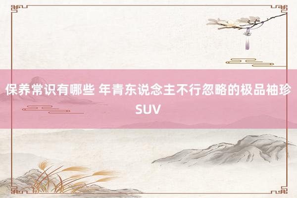 保养常识有哪些 年青东说念主不行忽略的极品袖珍SUV