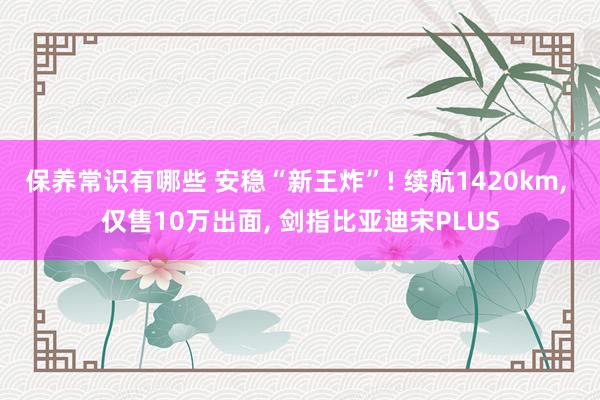 保养常识有哪些 安稳“新王炸”! 续航1420km, 仅售10万出面, 剑指比亚迪宋PLUS