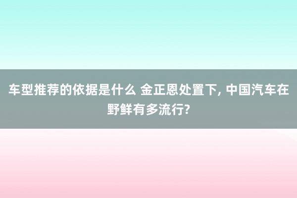 车型推荐的依据是什么 金正恩处置下, 中国汽车在野鲜有多流行?