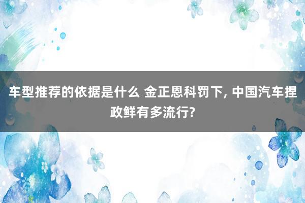 车型推荐的依据是什么 金正恩科罚下, 中国汽车捏政鲜有多流行?