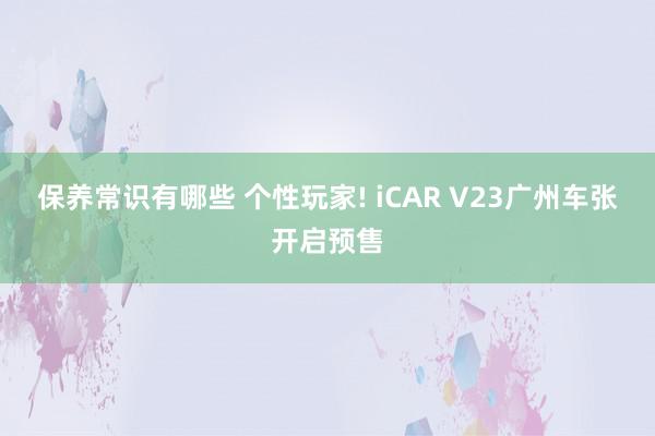 保养常识有哪些 个性玩家! iCAR V23广州车张开启预售