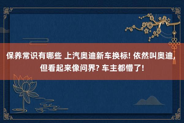 保养常识有哪些 上汽奥迪新车换标! 依然叫奥迪, 但看起来像问界? 车主都懵了!