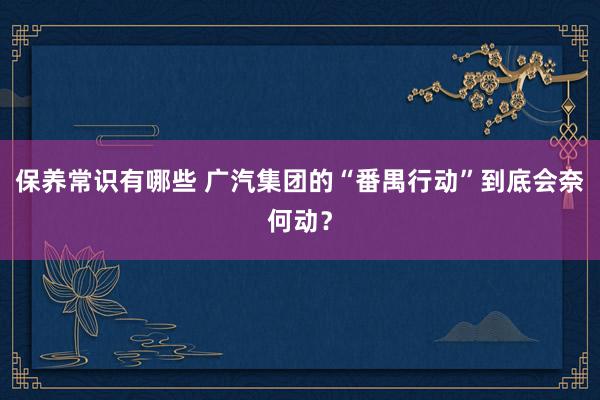 保养常识有哪些 广汽集团的“番禺行动”到底会奈何动？