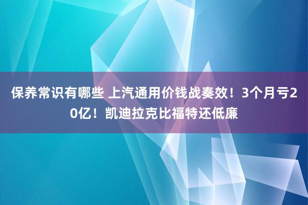 保养常识有哪些 上汽通用价钱战奏效！3个月亏20亿！凯迪拉克比福特还低廉