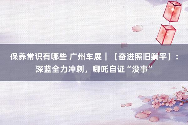 保养常识有哪些 广州车展｜【奋进照旧躺平】：深蓝全力冲刺，哪吒自证“没事”