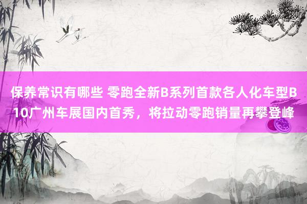 保养常识有哪些 零跑全新B系列首款各人化车型B10广州车展国内首秀，将拉动零跑销量再攀登峰